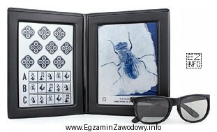 Przedstawiony test muchy stosuje się do sprawdzania