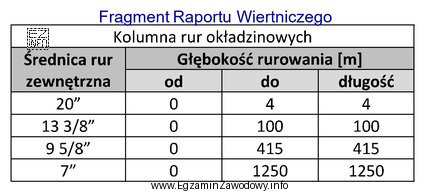 Na podstawie przedstawionego fragmentu raportu wiertniczego określ rodzaj kolumny 
