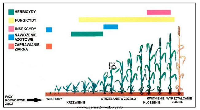 Na podstawie rysunku określ najodpowiedniejszy termin stosowania środkó