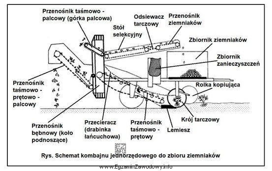Który zespół jednorzędowego kombajnu do zbioru ziemniaków 