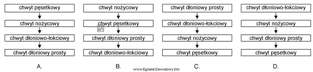 Który schemat obrazuje prawidłowy rozwój umiejętnoś