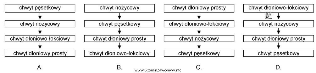 Który schemat obrazuje kolejno pojawiające się wraz z 