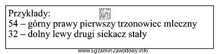 Którego systemu znakowania zębów dotyczą zamieszczone w 