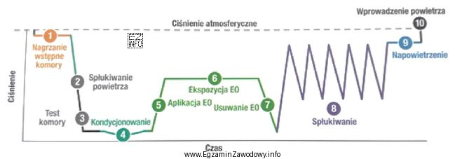 Ilustracja przedstawia zapis kontroli parametrycznej procesu sterylizacji