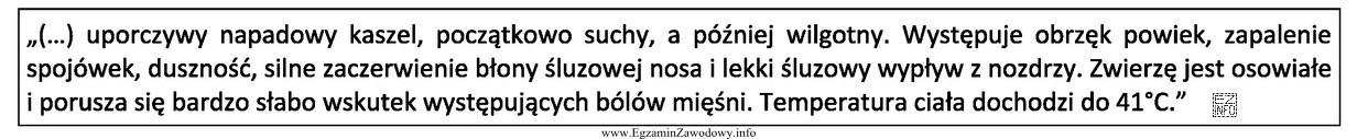 Zaraźliwa wirusowa choroba górnych dróg oddechowych koni 