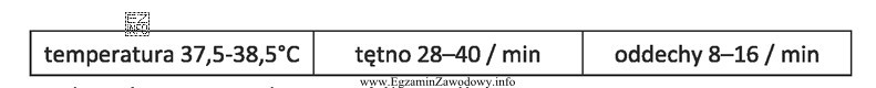 Parametry CTO przedstawione powyżej są prawidłowe dla