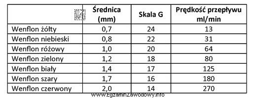 Lekarz weterynarii chce dokonać wlewu dożylnego u psa. Wenflon 