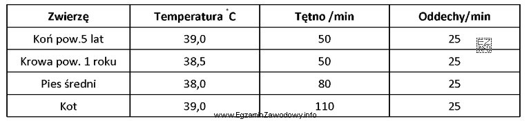 Na podstawie zamieszczonych wyników badania CTO wskaż, które 