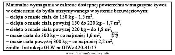 Do rzeźni przywieziono 50 dorosłych byków - w 