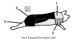 Syndrom PSE w tuszy świń najczęściej dotyczy partii mięś