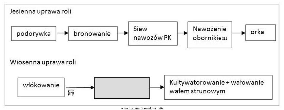 Zaplanuj brakujący w schemacie blokowym (szare pole) zabieg uprawowy 