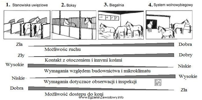 Który z przedstawionych sposobów utrzymania koni w pomieszczeniach 