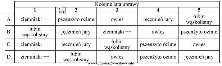 Wskaż prawidłowe zmianowanie roślin na glebach lekkich.