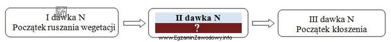 Uzupełnij termin zastosowania drugiej dawki nawozów azotowych w 