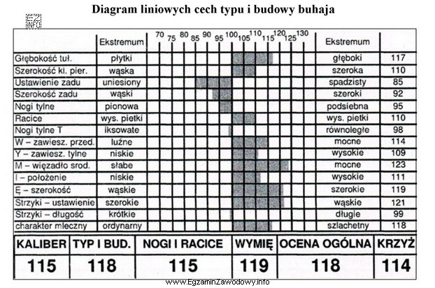 Buhaj, którego wartość hodowlaną przedstawiono w formie diagramu liniowego, 