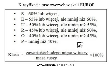 Zgodnie z przedstawioną klasyfikacją, jeżeli tusza maciorki waży 62,5 
