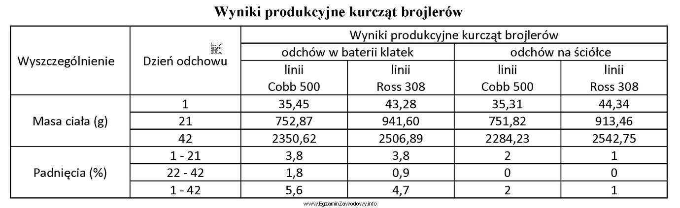 Przeanalizuj wyniki produkcyjne kurcząt brojlerów w różnych 