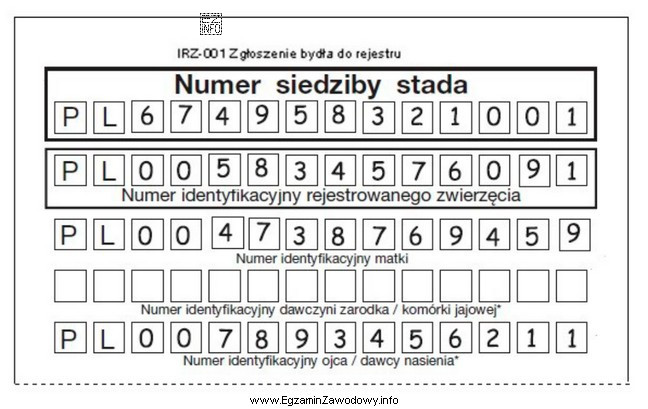 Wskaż numer identyfikacyjny rejestrowanego cielęcia na przedstawionym dokumencie 