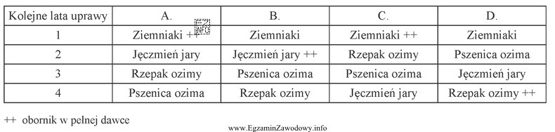 Wskaż właściwe zmianowanie na glebach średnich