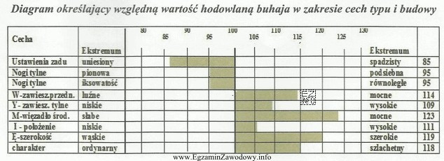 Buhaj, którego cechy liniowe pokazano na diagramach poniżej, 