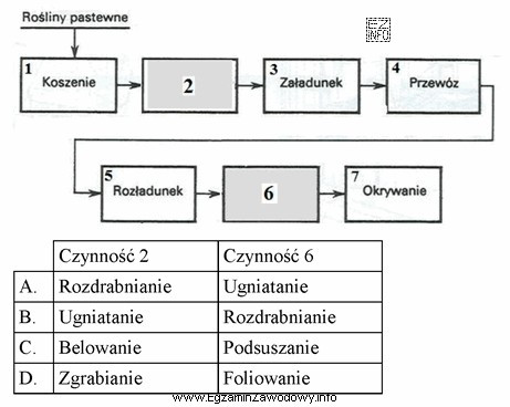 Które czynności spośród podanych (zaznaczone w 