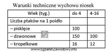 Ile poideł dzwonowych należy umieścić w kurniku dla 9 000 