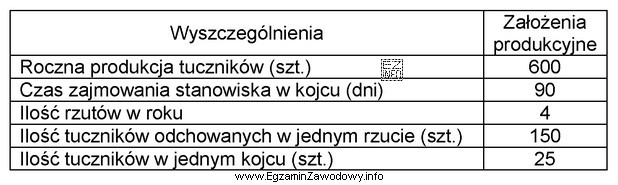 Ile kojców potrzeba do odchowu jednego rzutu tuczników 