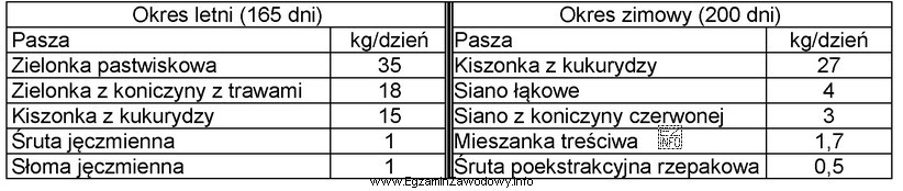 Ile kiszonki z kukurydzy potrzeba rocznie dla stada 20 krów 