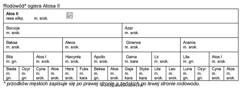 Na przykładzie rodowodu ogiera Atosa II określ metodę 