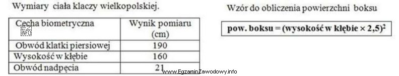 Klaczy ze źrebięciem, której wymiary podano w tabeli, 