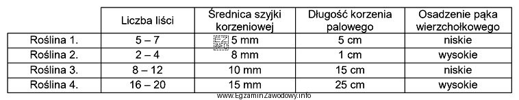 Z plantacji rzepaku pobrano w okresie przedzimowym kilka roślin 