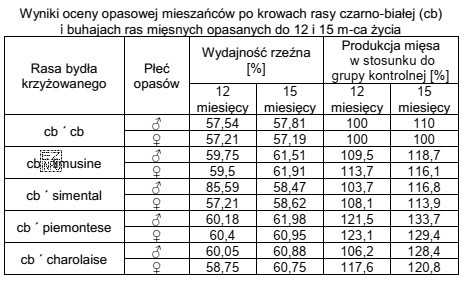 Na podstawie danych zawartych w tabeli dobierz rasę buhaja do 