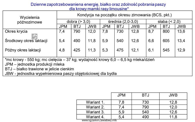 Ustal zapotrzebowanie na składniki pokarmowe dla krowy mamki rasy 