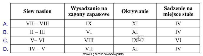 Wskaż prawidłowy harmonogram uprawy bratka ogrodowego uwzględniający 