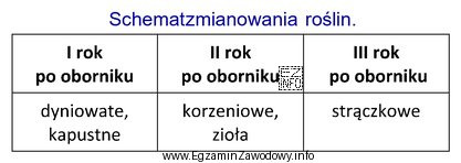 Korzystając z danych przedstawionych w tabeli wybierz zestaw roś