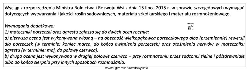 Druga ocena matecznika porzeczki czarnej rozmnażanej przez sadzonki zdrewniał
