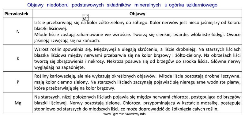 W uprawie ogórka szklarniowego stwierdzono zamieranie brzegów liś