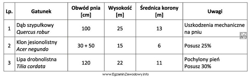 Zgodnie z danymi zawartymi w tabeli inwentaryzacyjnej klon jesionolistny