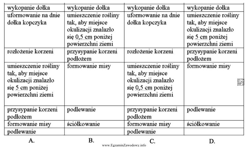 Wskaż właściwą kolejność czynności związanych z 