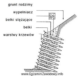 Jaki rodzaj ubezpieczenia skarp jest przedstawiony na rysunku?