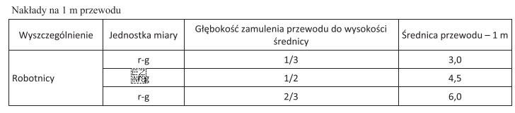 W ramach robót konserwacyjnych należy oczyścić z 