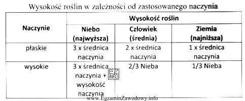 Układając ikebanę w wazonie o średnicy 5 cm 