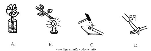 Na rysunkach przedstawiono różne sposoby postępowania z kwiatami 