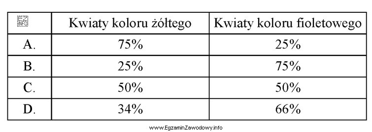 Wskaż, która z wymienionych w tabeli proporcji będzie 