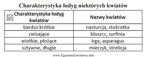 Korzystając z danych zamieszczonych w tabeli wybierz roślinę, 