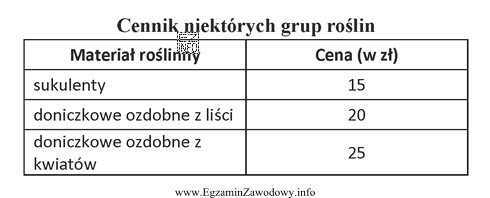 Do aranżacji pomieszczenia wykorzystano: kaladium - 3 szt., kordylinę - 2 