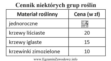 Do aranżacji balkonu wykorzystano: surfinię - 10 szt., powojnik - 2 