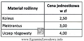 Do obsadzenia pojemnika podwieszanego florysta zastosował 3 sztuki gatunku kwitnącego 