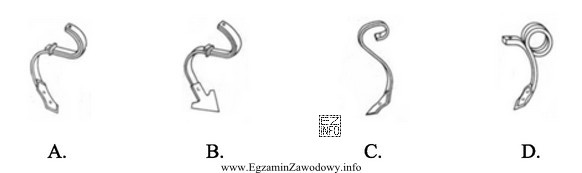 Który rysunek przedstawia ząb kultywatora z gęsiostopkami?