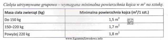 Kojec grupowy o wymiarach 3 m x 5 m, w którym 